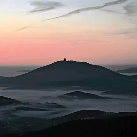 Zum Wirt Hohenbogenblick