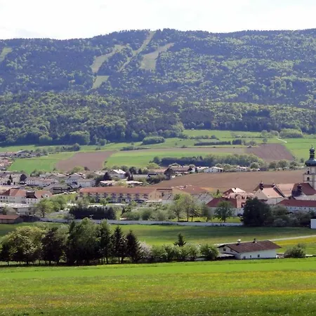 Apartment Zum Wirt Hohenbogenblick Neukirchen beim Heiligen Blut