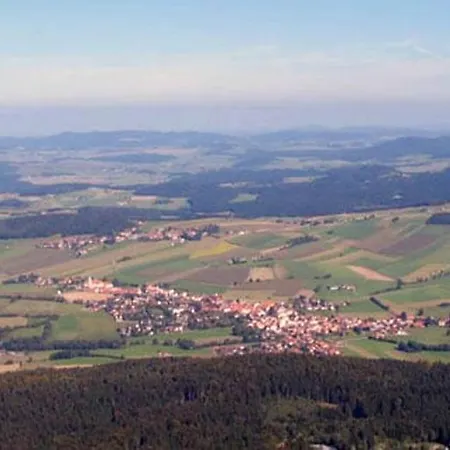 Apartment Zum Wirt Hohenbogenblick Neukirchen beim Heiligen Blut
