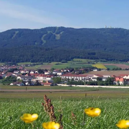 Zum Wirt Hohenbogenblick Lejlighed *
